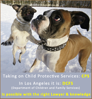10 Ways to Beat CPS DCFS